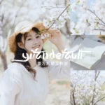 Bộ Sưu Tập Preset Màu Film Phong Cách Nhật Bản Trong Trẻo Sạch Sẽ Và Tươi Sáng 2025 (xmp/acr, dng, cube) L78P28