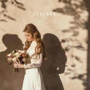 DVLOP – Susan Stripling - Cerebral – Bộ sưu tập Preset cổ điển hơi thô ráp và rất đẹp (xmp/acr) T78Y20