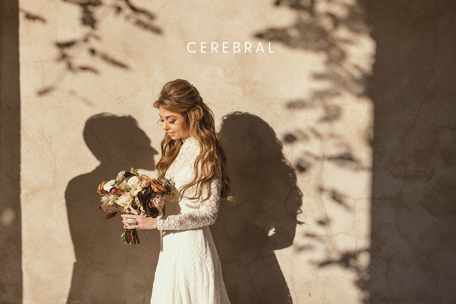 DVLOP – Susan Stripling - Cerebral – Bộ sưu tập Preset cổ điển hơi thô ráp và rất đẹp (xmp/acr) T78Y20 1 DVLOP – Susan Stripling - Cerebral – Bộ sưu tập Preset cổ điển hơi thô ráp và rất đẹp (xmp/acr) T78Y20