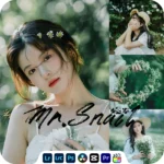 Bộ Sưu Tập 27 Preset Tone Màu Xanh Thanh Thoát Dành Cho Ảnh Chụp Chân Dung Phong Cách Trung Quốc 2025 (xmp/acr, dng, cube) A86X36