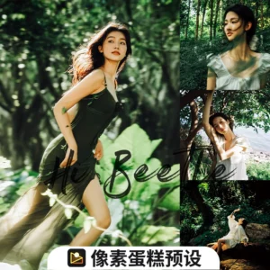 Bộ Sưu Tập 37 Preset Màu Film Lightroom Retro Lấy Cảm Hứng Từ Mùa Hè và Màu Xanh Của Rừng Phong Cách Trung Quốc 2025 (xmp/acr, dng, cube) A87S43