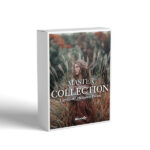 Moodypresets - The Master Collection – Bộ sưu tập 282 Preset nổi bật của Moodypresets (xmp/acr, dng, lr) D88R99