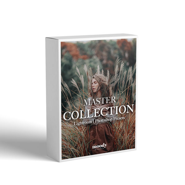 Moodypresets - The Master Collection – Bộ sưu tập 282 Preset nổi bật của Moodypresets (xmp/acr, dng, lr) D88R99 1 Moodypresets - The Master Collection – Bộ sưu tập 282 Preset nổi bât của Moodypresets (xmp/acr, dng, lr) D88R99