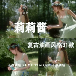 Preset Lilijiang – Gói Preset 31 Màu Vẽ Dầu Cổ Điển Pháp Cho Ảnh Đẹp Sang Trọng Xu Hướng 2025 (xmp/acr, cube, dng) T90S30
