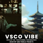 VSCO Vibe Presets For Lightroom - Desktop and Mobile Presets – Gói Preset màu VSCO Vibe (xmp/acr, dng, lr) V84S62