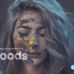 Woods — Capture One Style – Bộ sưu tập Woods dành cho Capture One Style (costylepack) A85V58