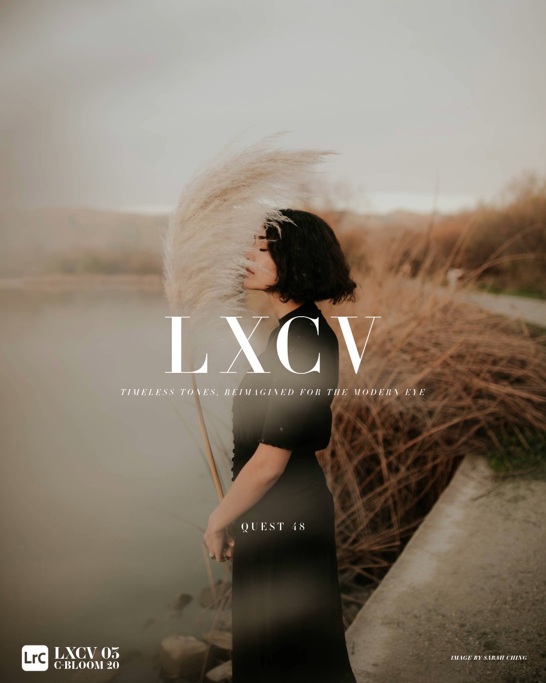 Archipelago Quest 48 - LXCV – Bộ sưu tập Presets mang âm điệu cổ điển - tinh tế và hiện đại (xmp/acr) A91C37