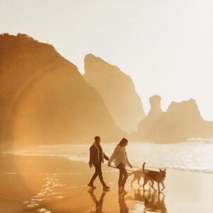 meridian llfx india earl solis presets bo suu tap presets 25 hieu ung anh sang tu nhien sang tao danh cho nhiep anh chan dung 4