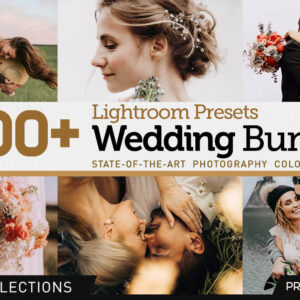 Presetrain - 200+ Wedding Presets Bundle – Bộ sưu tập hơn 200+ Preset dành cho Nhiếp ảnh cưới (xmp/acr, dng, lr, atn)