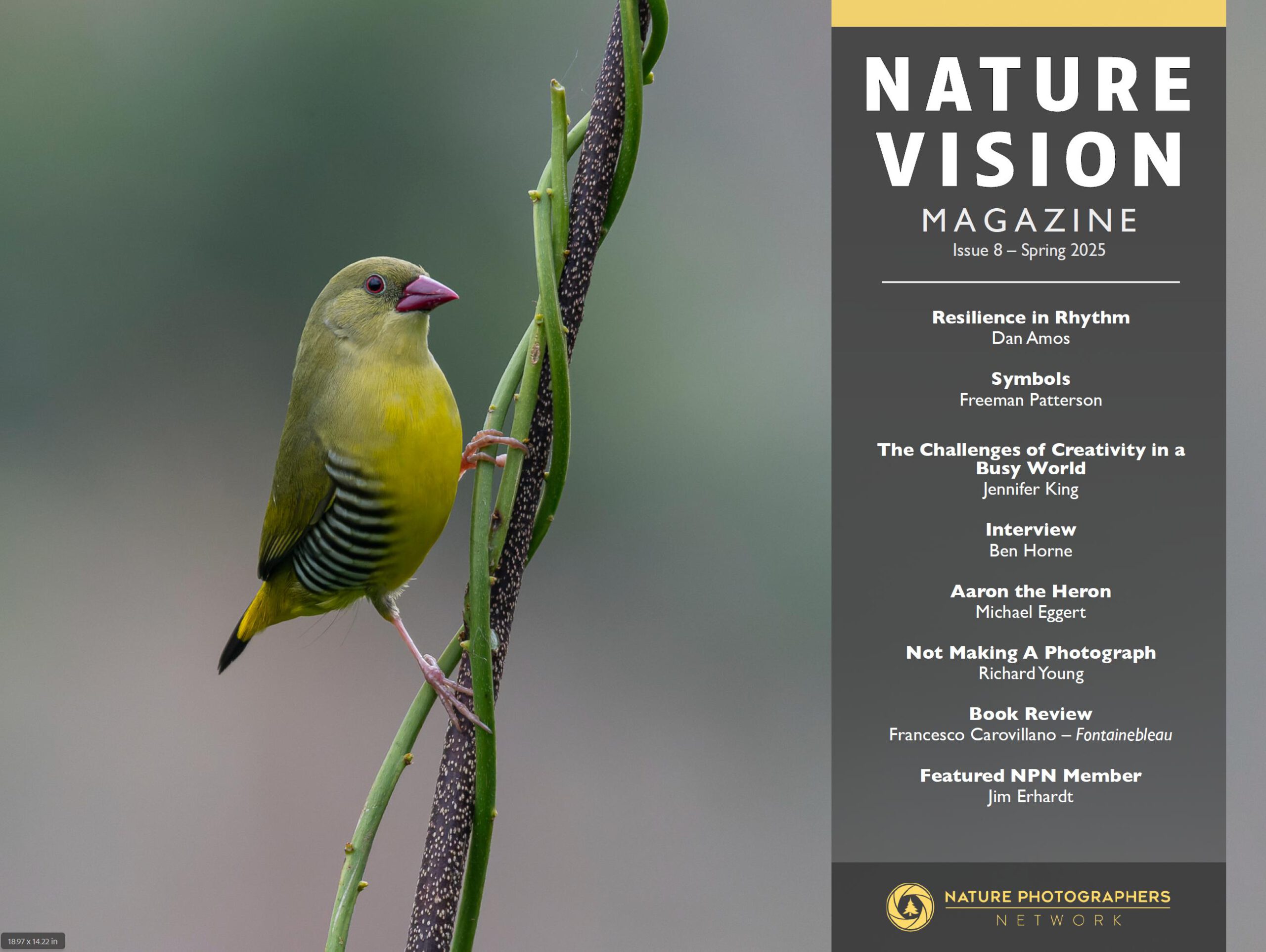 Tạp chí Nature Vision số 8 - Mùa xuân năm 2025 (pdf) B91Q12 1 tap chi nature vision so 8 mua xuan nam 2025 2 scaled