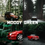 Tuner Presets - Moody Green – Bộ sưu tập Preset thiết kế đặc biệt để mang đến cho những bức ảnh ngoài trời vẻ u ám (xmp/acr) H91Z30
