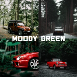 Tuner Presets - Moody Green – Bộ sưu tập Preset thiết kế đặc biệt để mang đến cho những bức ảnh ngoài trời vẻ u ám (xmp/acr) H91Z30