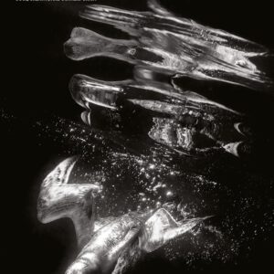 Black+White Photography - Issue 303 – Nhiếp ảnh đen trắng - Số 303 (pdf) P97A03