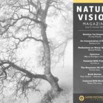 Nature Photographers Network - Nature Vision Magazine Issue 9 - Summer 2025 – Tạp chí Nature Vision nhiếp ảnh thiên nhiên đầy hấp dẫn (pdf) V98F38