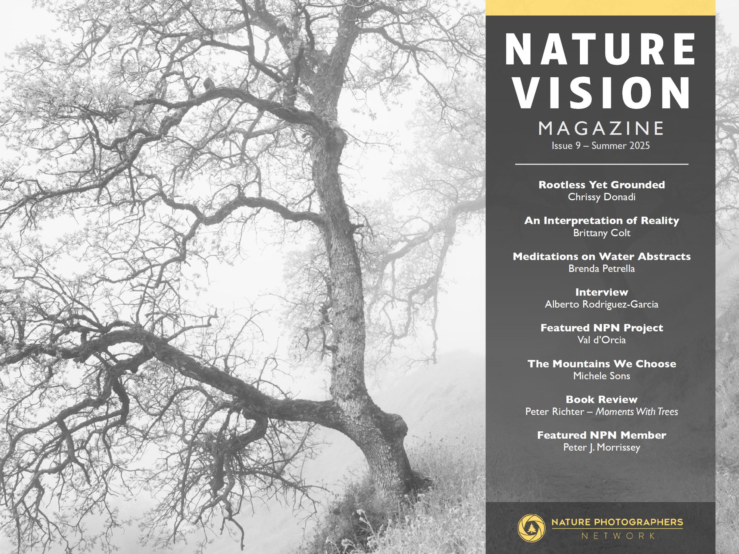 Nature Photographers Network - Nature Vision Magazine Issue 9 - Summer 2025 – Tạp chí Nature Vision nhiếp ảnh thiên nhiên đầy hấp dẫn (pdf) V98F38 1 nature photographers network nature vision magazine issue 9 summer 2025 tap chi nature vision nhiep anh thien nhien day hap dan 2 scaled