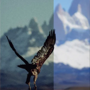 nostalgia mobile photo filters bo suu tap vintage preset duoc thiet ke rieng de chinh sua tren thiet bi di dong 10