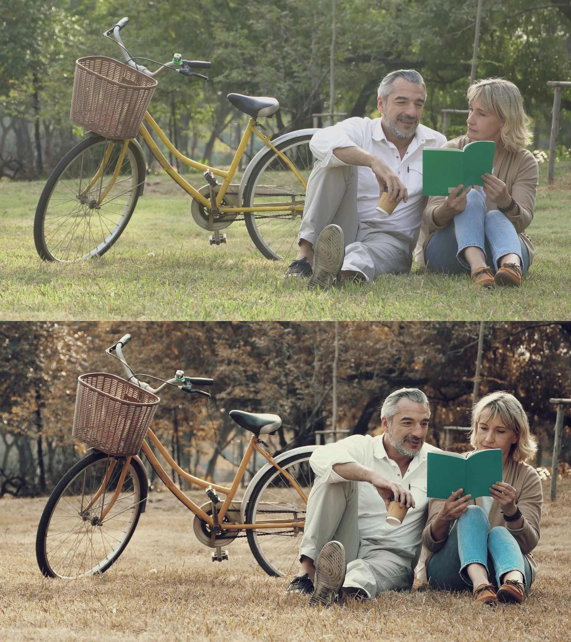 ColorWheelStore - Ultimate Bundle — Bộ sưu tập LUTs tuyệt đỉnh của ColorWheelStore (cube) A104Z20 6 colorwheelstore ultimate bundle bo suu tap luts tuyet dinh cua colorwheelstore 8