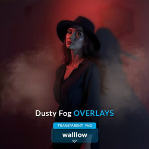 Dusty Fog Transparent PNG Photo Overlays — Bộ sưu tập Overlays hiệu ứng bụi sương mù độ phân giải cao (png) P102N36