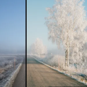 linus bergman analog presets bo suu tap preset lightroom phim analog 7