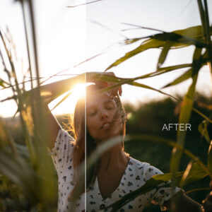 filtergrade goat 1983 urban cinematic presets bo suu tap preset mang sac mau cua dien anh hien dai 3