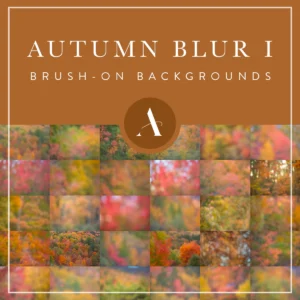 Ashlyn Mae - Autumn Blur Backgrounds — Bộ sưu tập mền mùa thu rực rỡ sắc màu mờ ảo A107X79