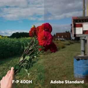 Lumenaryvision - Analog Vision Studio Presets — Bộ Presets Profile mô phỏng phim chuyên nghiệp cho Lightroom & Photoshop 2025 (xmp/acr) R109X94 10 lumenaryvision analog vision studio presets bo presets profile mo phong phim chuyen nghiep cho lightroom photoshop 2025 1