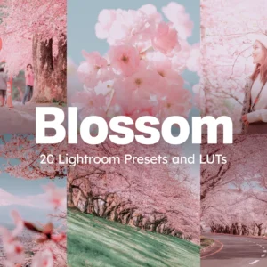 Blossom Lightroom Presets and LUTs — Gói Preset Lightroom và LUTs Mang Màu Sắc Của Hoa Anh Đào Nhẹ Nhàng Mềm Mại (xmp/acr, cube) T113D78