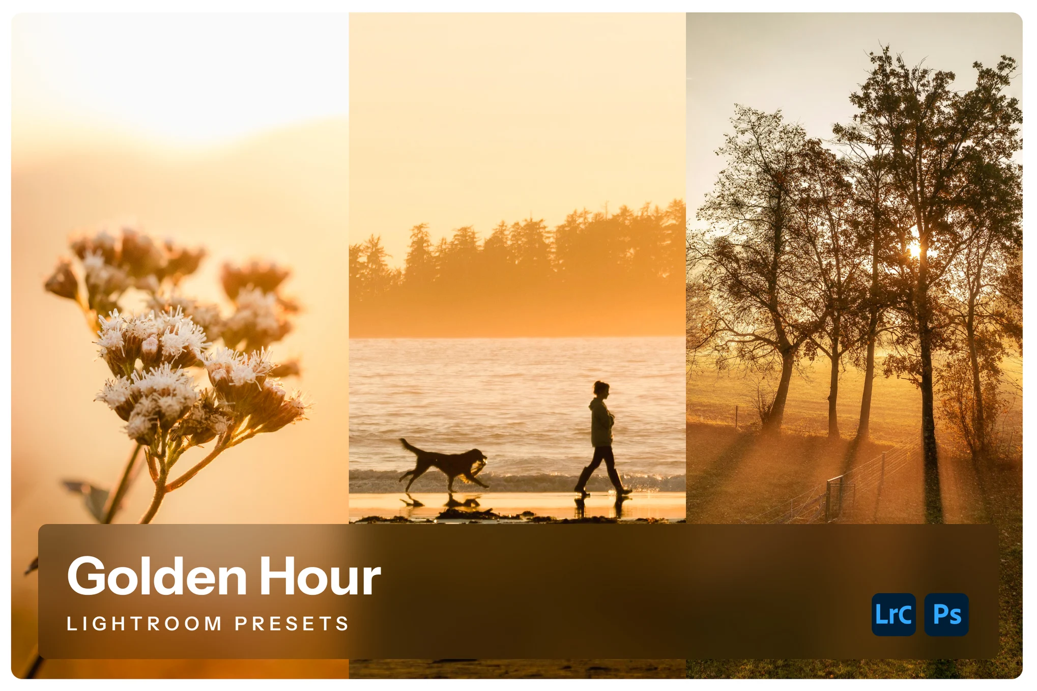 Golden Hours Lightroom Presets — Bộ sưu tập Preset ghi lại khoảnh khắc kỳ diệu của giờ vàng (xmp/acr, dng) T112G24