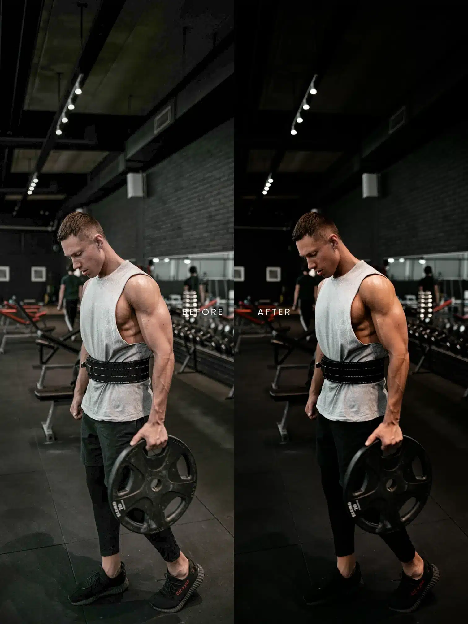 Preset Curator - Super Pack Luts — Gói Super LUTs của Preset Curator (cube) T111G61 5 preset curator super pack luts goi super luts cua preset curator 3