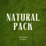 Jaide & Jett - Natural Pack 2026 — Bộ sưu tập Preset dành cho ảnh chân dung phong cảnh và nhiếp ảnh cưới của Jaide & Jett phiên bản 2026 (xmp/acr) X115T62