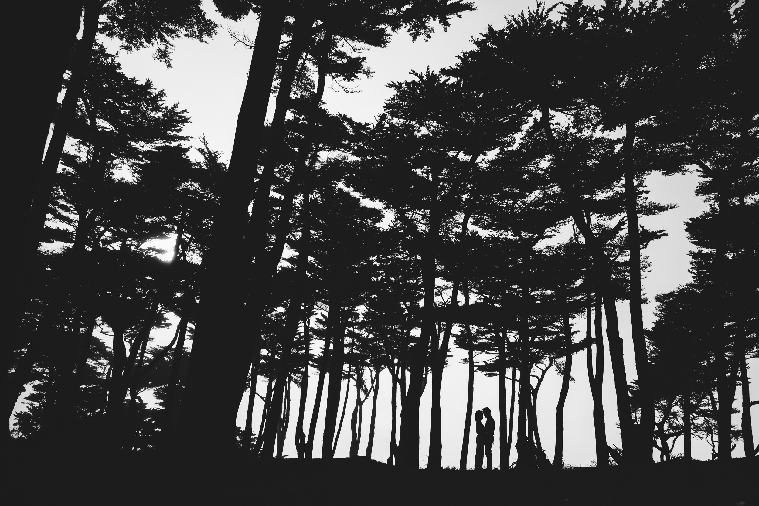 Reggie Ballesteros - Light & Lines Photography Bootcamp — Khoá học sử dụng ánh sáng định hướng và các kỹ thuật bố cục trong Nhiếp ảnh (mp4) X115R08